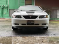 IMG_1235.jpeg