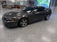 IMG_5897.jpeg
