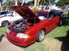 DSC00111.JPG