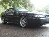 IMG_20130606_073904.jpg