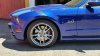 Lowered 3.jpg
