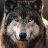 Fenrir559